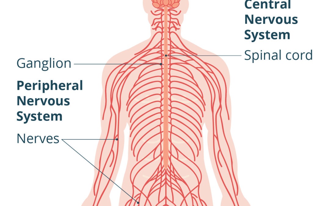 Healing Nervous System